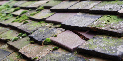 Little Mill roof repair costs